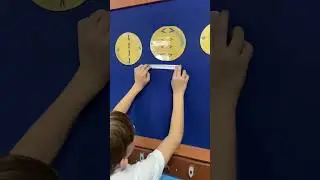 Mitoz şarkısı ve aşamaları