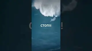 16 декабря 2023 г.