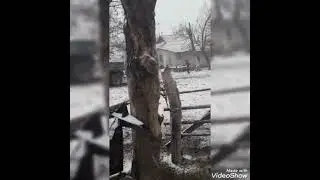 27 декабря 2021 г.