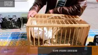 История праздника Благовещение