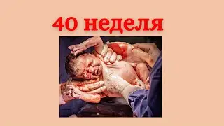 38 неделя беременности или 40 акушерская 