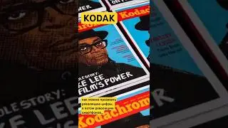Бездарный менеджмент Kodak прозевал две революции подряд: цифровая фотография и смартфоны