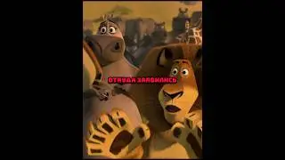 Вожак прайда находит сына #film #shorts