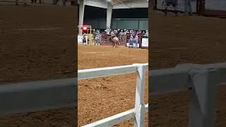 Just some bull riding!