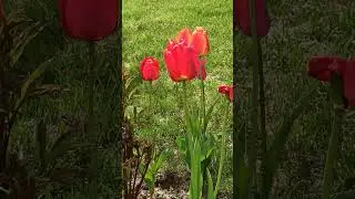 4 мая 2024 г.