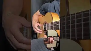 Bamboléo  😮 #cool #guitar #easy