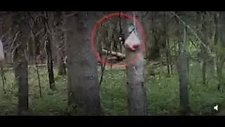 ТОП 10 САМЫХ СТРАШНЫХ СУЩЕСТВ И ПРИЗРАКОВ СНЯТЫХ НА КАМЕРУ