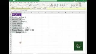 Prevent cell contents from overflowing with Format Cell feature