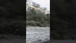 МАЙСКИЕ ЗИМЫ В МОСКВЕ 🥶