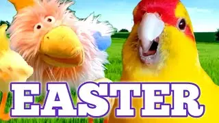 KAKARIKI EASTER 🐥🐇 Funny cheeky Kakarikis & friends 🎉