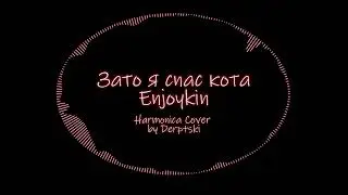 HARMONICA COVER: Enjoykin - Зато я спас кота #6