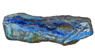 Art Minutes: "Underwater Drawings" by Margaret Ross Tolbert