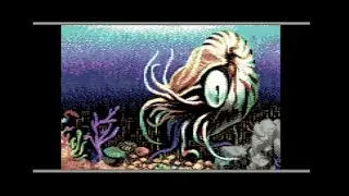 #C64