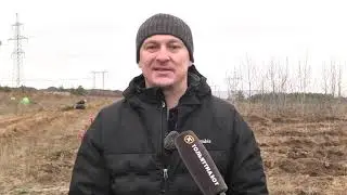 Посадка леса