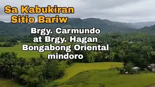 Ang kabukiran Sitio Bariw Barangay Carmundo at Brgy Hagan Bongabong Oriental Mindoro.