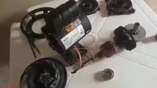 What should I do when the pool motor gets wet?