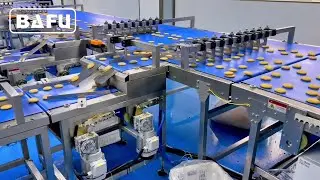 biscuit packaging machine, cake packaging machine,  bread packaging machine, flow wrapper, flow-pack