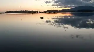 Лувеньга,прилив,капуста..
