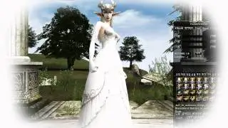Lineage2 HF / Awakening - украшения