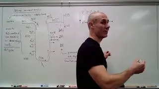 Regulation of urine concentration