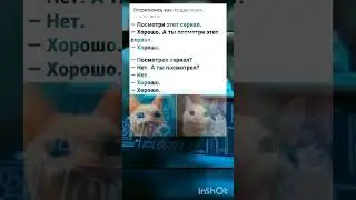 мемы 