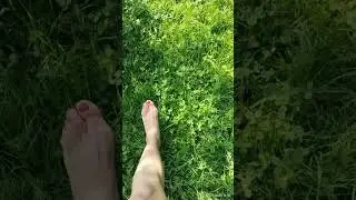 Ом (AUM)