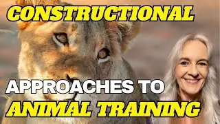 A Constructional Approach to Animal Training: An Overview