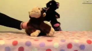 Stuffed animals gone crazzy!(: