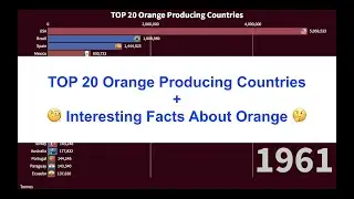 Top 20 Orange Producing Countries + Interesting Facts About Oranges