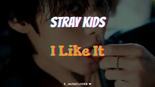 Stray Kids (스트레이 키즈) - I Like It [TRADUÇÃO]