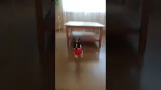 ПОМИДОРКА🍅