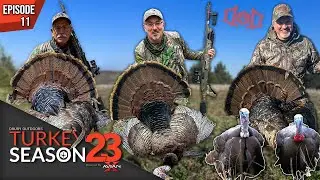 Mark’s Missouri Timber Hunt, Turkey Hunting Mid-Day, 2 States 4 Birds | Turkey Season ‘23