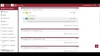 Creating an assignment and rubric in Moodle Fall 2021