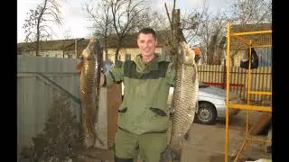Старенькая видео подборка с нырялок по ильменям.