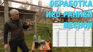 Обработка винограда исо ранней весной до распускания почек.
