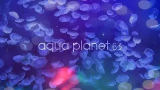 아쿠아플라넷 63 🦦 63빌딩 아쿠아리움 :: Aqua planet 63