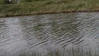 fishing at Oxriver put&take