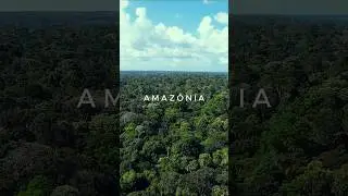 Amazônia Brazil #documentário #natureza #amazonia #floresta #selva #vidaselvagem #drone