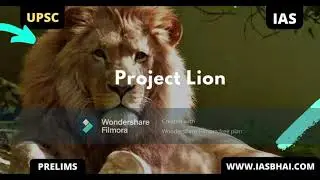 Asiatic lion