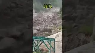 СЕЛЬ 