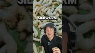 When WORMS Eat It Sounds Like THIS! 