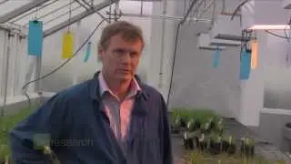 2013 Science Prize