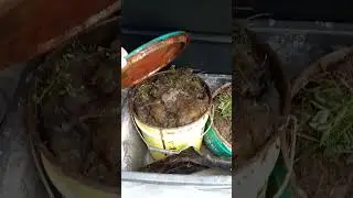 Нива Тревел, возить приходится все. 