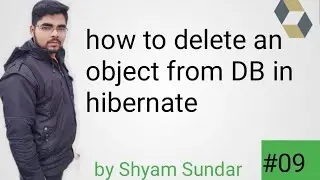 how to delete an object from DB in hibernate || Shyam Sundar