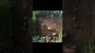 Inspiração Quintal área externa #shorts #paisagismo #casa #casasimplis #plantas #decor #decoracao