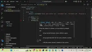 Python Counter Program Code Demonstration