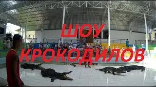 Крокодиловое шоу на Пхукете 2016