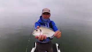 Pesca fundeada apanhar e libertar