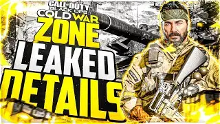 New LEAKED Black Ops Cold War WARZONE details!
