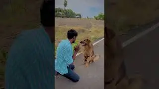 Wt. for end 🤣😂#reels #viral #entertainment #love #comedy #doglove #jacky #tamil #tamilsong #true